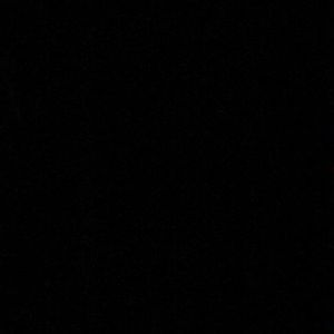 Meet your Posher, Lamelo